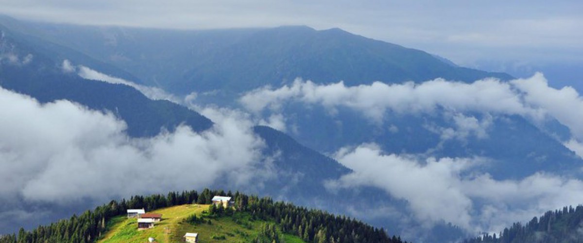 POKUT - SAL YAYLASI